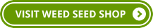 visit_weed_seed_shop_button